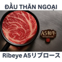 🧾 A5和牛リブロース（ribeye）のスペック 項目 内容 商品名 A5和牛リブロース（Japanese A5 Wagyu Ribeye） 部位 リブロース（ribeye / riburoosu） 産地 日本・茨城県（ヒタチ牛 – カミチク）Hitachigyū – Kamichiku ブランド 常陸牛 – カミチク（Hitachigyū – Kamichiku） 格付 A5ランク和牛（A5 ranku wagyu） 内容量 200g～1kg（真空パック、冷凍保存） 保存方法 -18℃冷凍保存。解凍後は24時間以内に使用推奨 認証 日本政府認証、HACCP、ホルモン剤不使用 📌 A5和牛リブロース（riburoosu）は、ステーキ・焼肉・しゃぶしゃぶのいずれにも最適な万能カットです。ご家庭用はもちろん、贈答用としても人気があります。