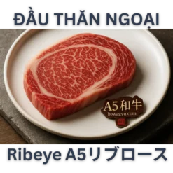 🇯🇵 Why Japanese A5 Wagyu Ribeye Is One of the World’s Most Treasured Cut?
