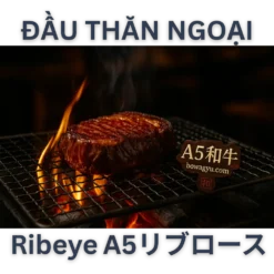 👨‍🍳 A5和牛リブロースの美味しい調理方法 A5和牛 焼き方・調理方法ガイド 🔥 焼肉（yakiniku / yakiniku-style grill） 5〜7mmの薄切りにして炭火またはグリルプレートで素早く焼く。 焼きすぎないのがコツ。片面30秒〜1分がベスト。 醤油ベースのタレや藻塩、わさびと合わせて。